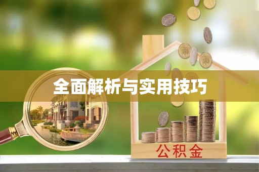 田家庵全面解析与实用技巧