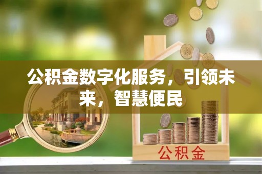 田家庵公积金数字化服务，引领未来，智慧便民