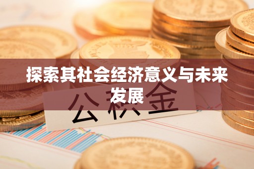 田家庵探索其社会经济意义与未来发展