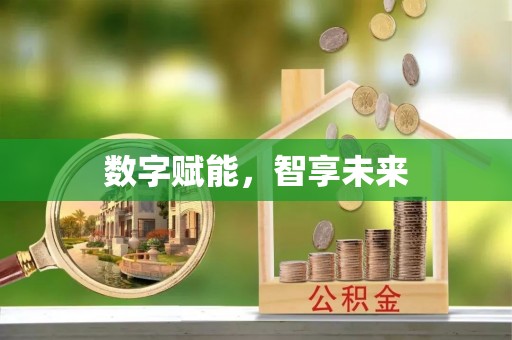 田家庵数字赋能，智享未来