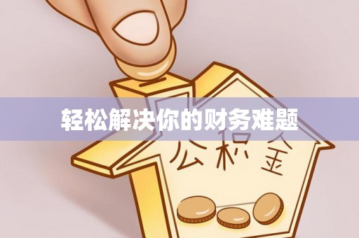 田家庵轻松解决你的财务难题