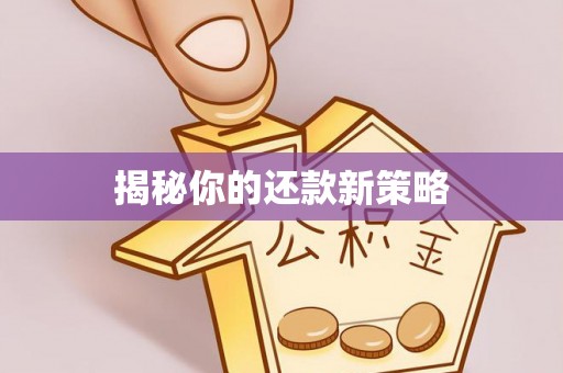 田家庵揭秘你的还款新策略