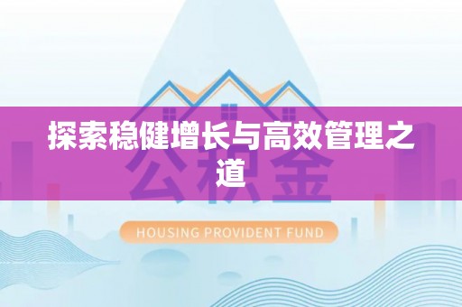 田家庵探索稳健增长与高效管理之道