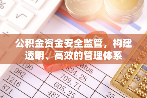 田家庵公积金资金安全监管，构建透明、高效的管理体系