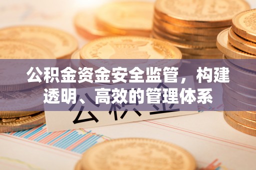 田家庵公积金资金安全监管，构建透明、高效的管理体系