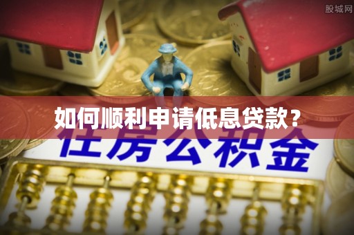 田家庵如何顺利申请低息贷款？