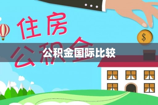 田家庵公积金国际比较
