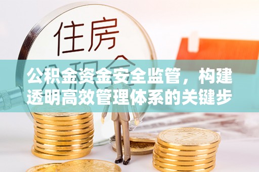 田家庵公积金资金安全监管，构建透明高效管理体系的关键步骤
