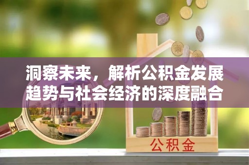 田家庵洞察未来，解析公积金发展趋势与社会经济的深度融合