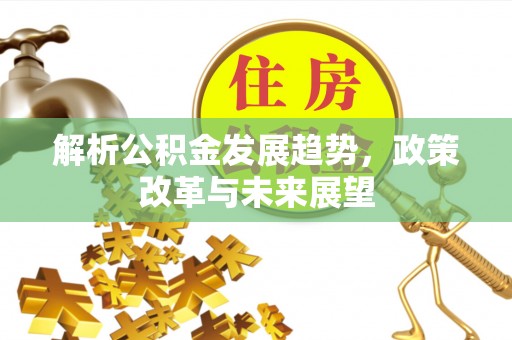 田家庵解析公积金发展趋势，政策改革与未来展望