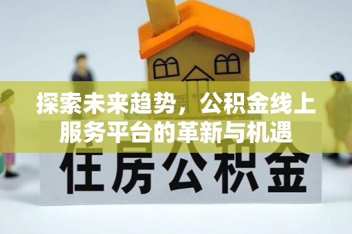 田家庵探索未来趋势，公积金线上服务平台的革新与机遇