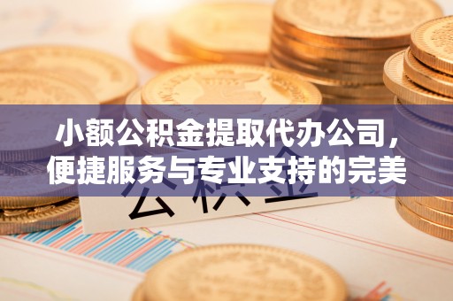 田家庵小额公积金提取代办公司，便捷服务与专业支持的完美结合
