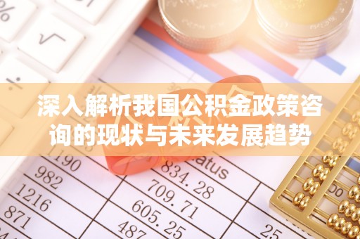 田家庵深入解析我国公积金政策咨询的现状与未来发展趋势
