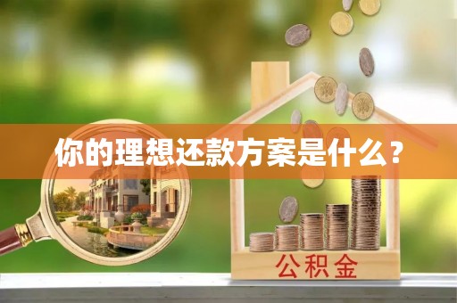 田家庵你的理想还款方案是什么？