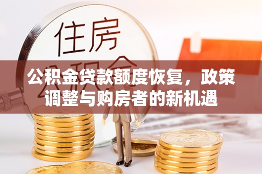 田家庵公积金贷款额度恢复，政策调整与购房者的新机遇