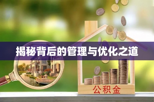 田家庵揭秘背后的管理与优化之道
