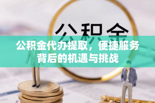 田家庵公积金代办提取，便捷服务背后的机遇与挑战