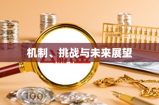 田家庵机制、挑战与未来展望