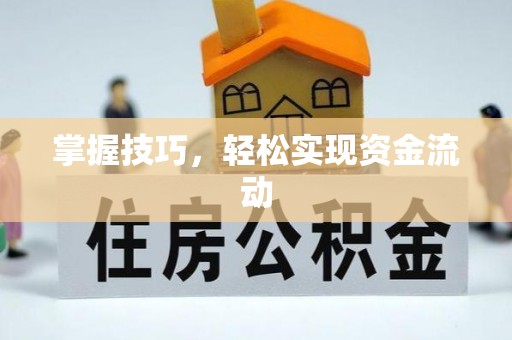 田家庵掌握技巧，轻松实现资金流动